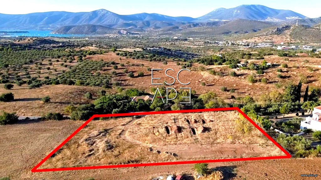 Οικόπεδο 4.000 τ.μ. για πώληση, Αργολίδα, Κρανίδι
