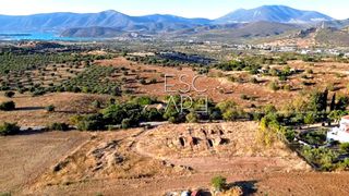 Οικόπεδο 4.000 τ.μ. για πώληση, Αργολίδα, Κρανίδι-thumb-1