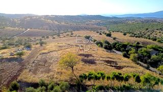Οικόπεδο 4.000 τ.μ. για πώληση, Αργολίδα, Κρανίδι-thumb-8