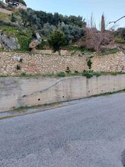 Αγροτεμάχια 350 τ.μ. για πώληση