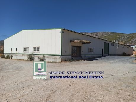 Craft space 2.000sqm for rent-Megara » Center