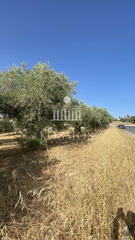 Οικόπεδο 7.100 τ.μ. προς πώληση, Βασιλικό Ληλαντίου