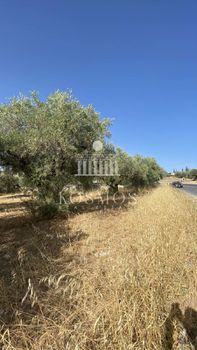 Οικόπεδο 7.100 τ.μ. για πώληση