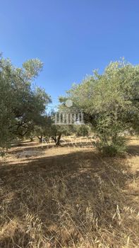 Οικόπεδο 2.300 τ.μ. για πώληση