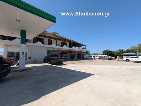 Κτίριο 719τ.μ. για πώληση-Αμαλιάδα » Σαβάλια