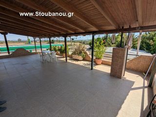 Κτίριο 719 τ.μ. προς πώληση, Σαβάλια-thumb-5