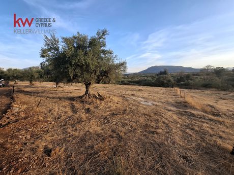 Οικόπεδο 5.448τ.μ. για πώληση-Φαρές