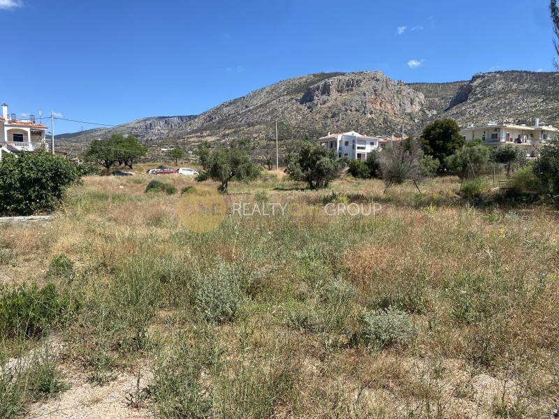 Αγροτεμάχια 1.104 τ.μ. προς πώληση, Μουζάκα