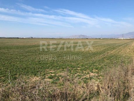 Αγροτεμάχια 18.853τ.μ. για πώληση-Πλατύκαμπος » Χάλκη