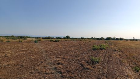 Parcel 10.200sqm for sale-Gomfoi » Palaiomonastiro