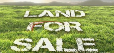 Αγροτεμάχια 4.500τ.μ. για πώληση-Σιθωνία » Ελιά