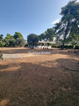 Detached home 133 sqm for sale