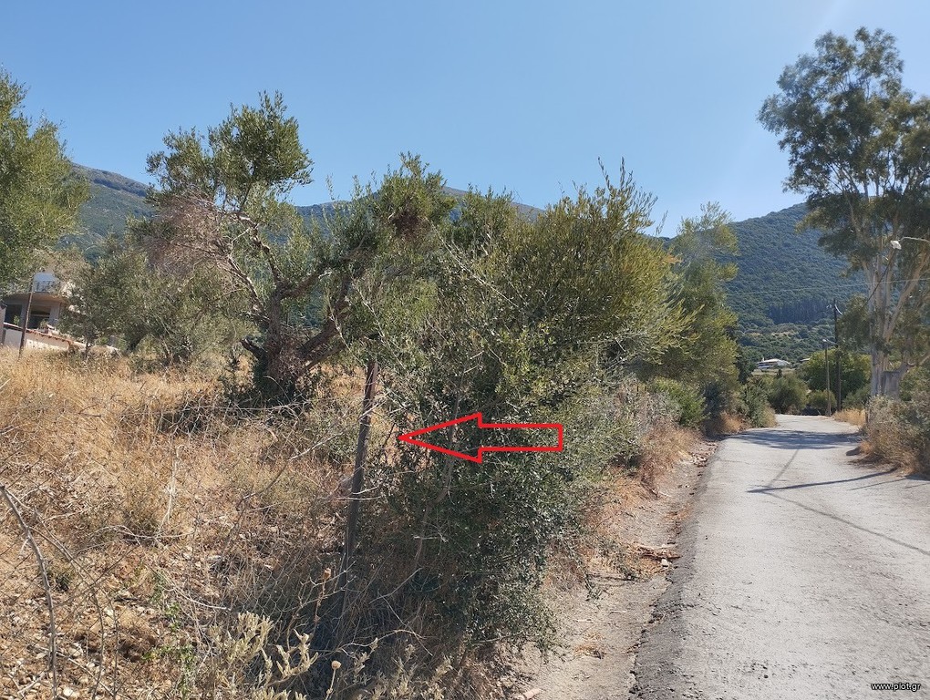 Οικόπεδο 1.000 τ.μ. πρός πώληση, Μεσσηνία, Κυπαρισσία