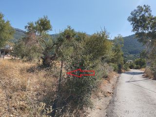 Οικόπεδο 1.000 τ.μ. για πώληση, Μεσσηνία, Κυπαρισσία-thumb-1