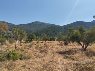 Οικόπεδο 1.000 τ.μ. για πώληση, Μεσσηνία, Κυπαρισσία-thumb-5