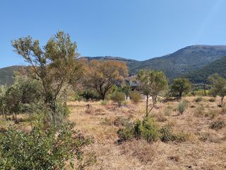 Οικόπεδο 1.000 τ.μ. για πώληση, Μεσσηνία, Κυπαρισσία-thumb-6