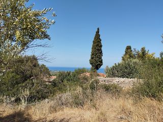Οικόπεδο 1.000 τ.μ. για πώληση, Μεσσηνία, Κυπαρισσία-thumb-7