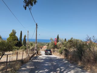 Οικόπεδο 1.000 τ.μ. για πώληση, Μεσσηνία, Κυπαρισσία-thumb-8