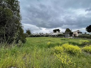 Land plot 2.033 sqm for sale