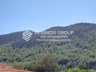 Μονοκατοικία 200 τ.μ. για πώληση, Αρκαδία, Μαντίνεια-thumb-13