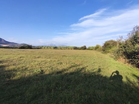 Αγροτεμάχια 15.000 τ.μ. για πώληση