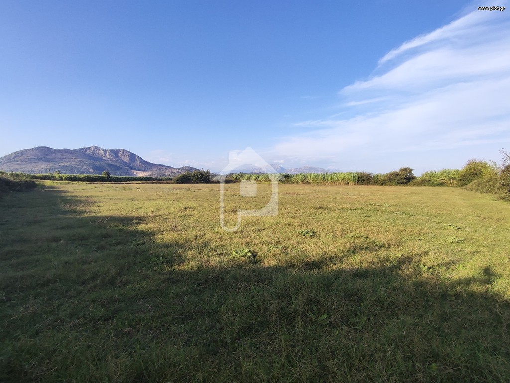 Αγροτεμάχια 15.000 τ.μ. πρός πώληση, Ν. Πρέβεζας, Φιλιππιάδα