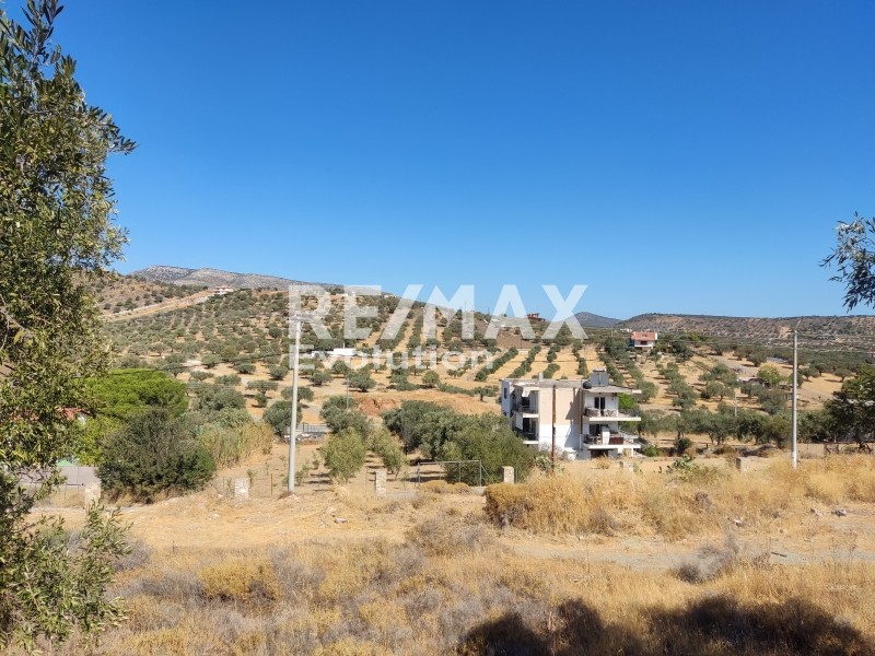 Αγροτεμάχια 530 τ.μ. πρός πώληση, Αττική - Υπόλοιπο, Κερατέα
