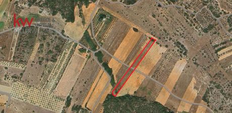 Αγροτεμάχια 5.500τ.μ. για πώληση-Μαρκόπουλο