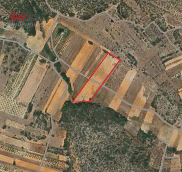 Αγροτεμάχια 4.500τ.μ. για πώληση-Μαρκόπουλο
