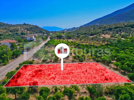 Οικόπεδο 1.002τ.μ. για πώληση-Επίδαυρος