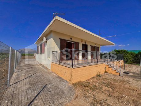 Μονοκατοικία 100τ.μ. για πώληση-Άργος