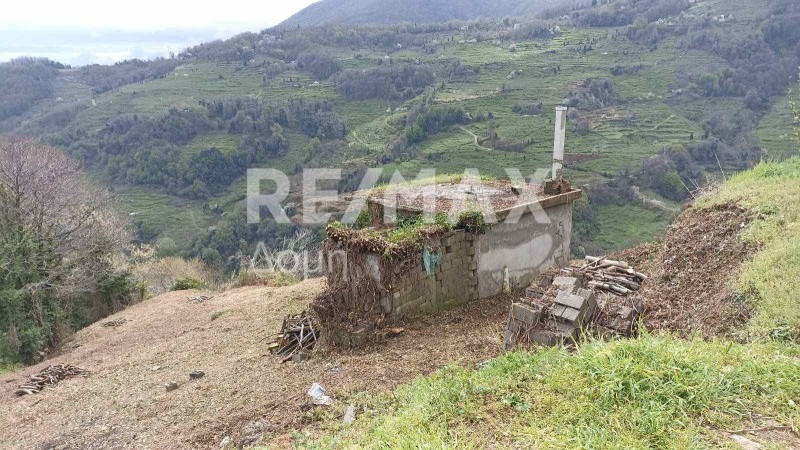 Αγροτεμάχια 4.281 τ.μ. πρός πώληση, Μαγνησία, Ζαγορά