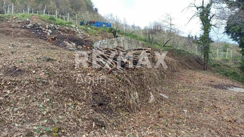 Αγροτεμάχια 4.281 τ.μ. πρός πώληση, Μαγνησία, Ζαγορά
