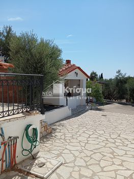 Διαμέρισμα 120τ.μ. για ενοικίαση-Ιαρδανός » Αλποχώρι