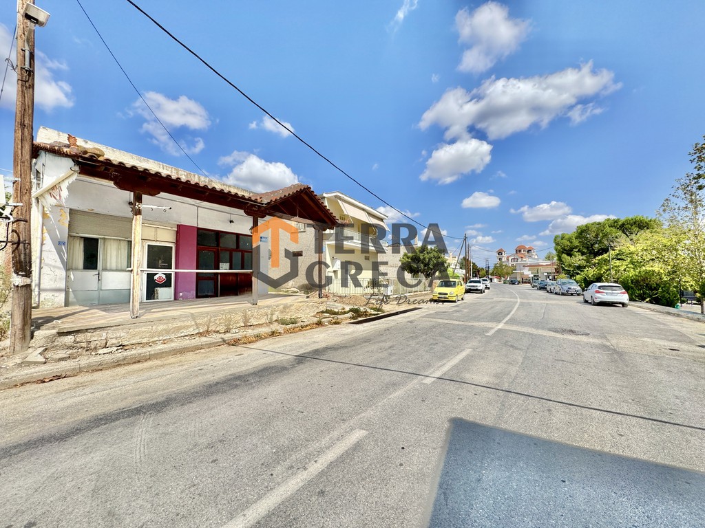 Κατάστημα 120 τ.μ. πρός ενοικίαση, Ν. Λάρισας, Λάρισα