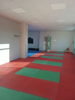Hall 500sqm for sale-Panorama » Center