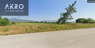 Αγροτεμάχια 16.000 τ.μ. για πώληση