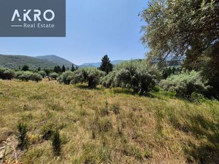 Βίλλα 188 τ.μ. προς πώληση, Απολλώνιο-thumb-7
