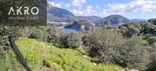 Αγροτεμάχια 25.105 τ.μ. για πώληση, Ν. Πρέβεζας, Πάργα-thumb-8