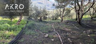 Αγροτεμάχια 25.105 τ.μ. για πώληση, Ν. Πρέβεζας, Πάργα-thumb-11