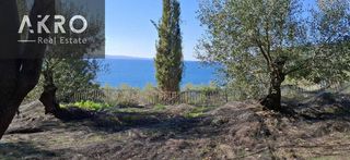 Αγροτεμάχια 25.105 τ.μ. για πώληση, Ν. Πρέβεζας, Πάργα-thumb-7