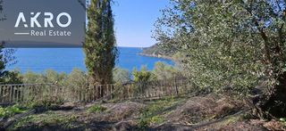 Αγροτεμάχια 25.105 τ.μ. για πώληση, Ν. Πρέβεζας, Πάργα-thumb-10
