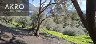 Αγροτεμάχια 25.105 τ.μ. για πώληση, Ν. Πρέβεζας, Πάργα-thumb-13