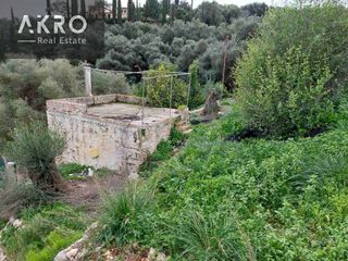Αγροτεμάχια 25.105 τ.μ. για πώληση, Ν. Πρέβεζας, Πάργα-thumb-4