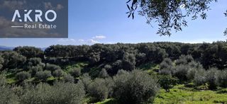 Αγροτεμάχια 25.105 τ.μ. για πώληση, Ν. Πρέβεζας, Πάργα-thumb-12