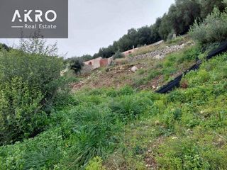 Αγροτεμάχια 25.105 τ.μ. για πώληση, Ν. Πρέβεζας, Πάργα-thumb-5
