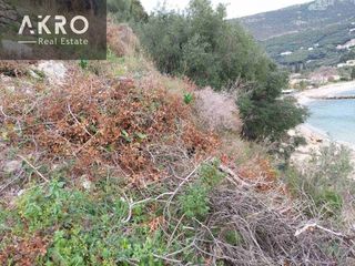 Αγροτεμάχια 25.105 τ.μ. για πώληση, Ν. Πρέβεζας, Πάργα-thumb-6
