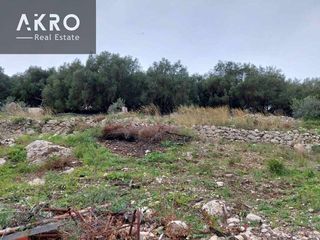 Αγροτεμάχια 25.105 τ.μ. για πώληση, Ν. Πρέβεζας, Πάργα-thumb-3