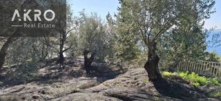 Αγροτεμάχια 25.105 τ.μ. για πώληση, Ν. Πρέβεζας, Πάργα-thumb-9