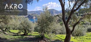 Αγροτεμάχια 25.105 τ.μ. για πώληση, Ν. Πρέβεζας, Πάργα-thumb-14
